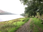 Loweswater from Holme Wood