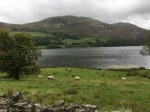 Loweswater - South side